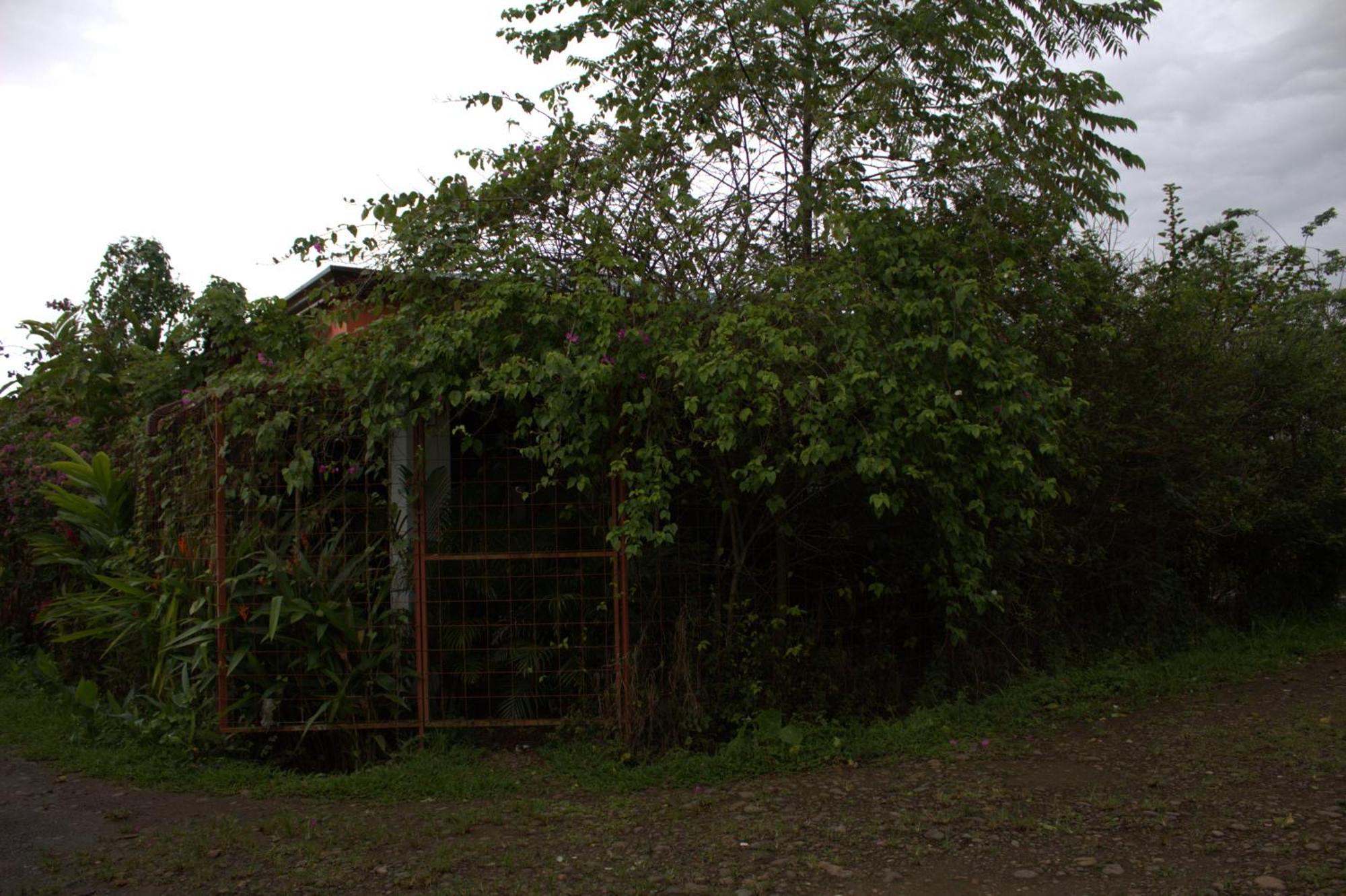 Home La Fortuna Kültér fotó
