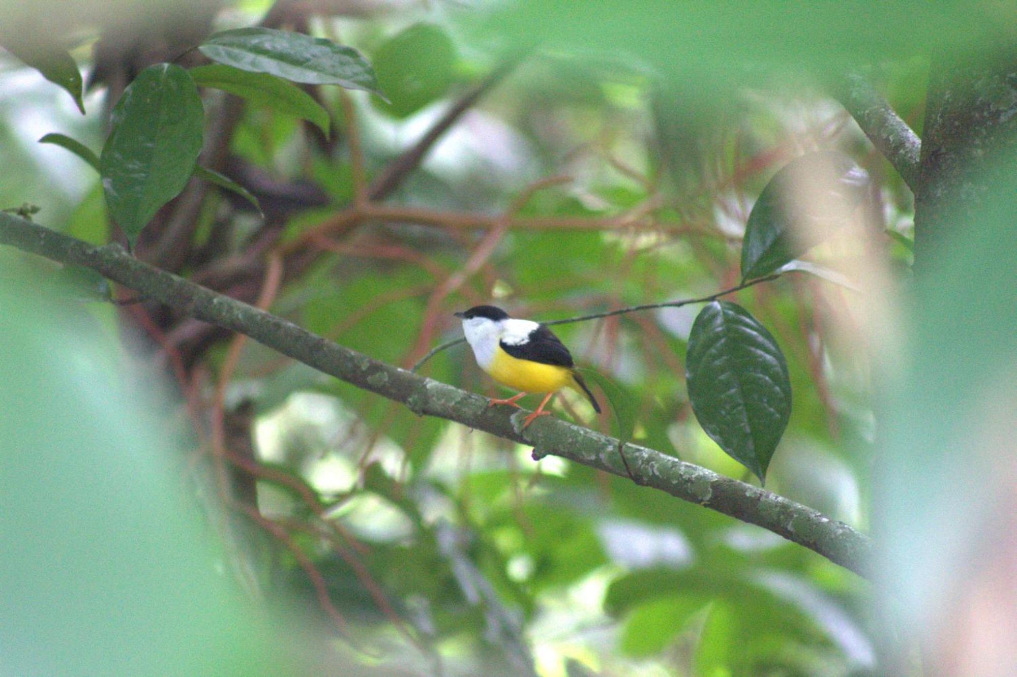 Home La Fortuna Kültér fotó